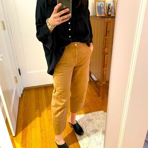 Everlane Utility Barrel Pant in 00 in golden brown